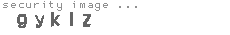 security image