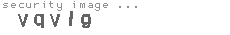 security image