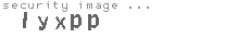 security image