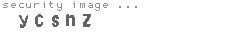security image