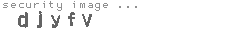 security image