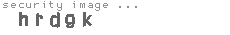security image