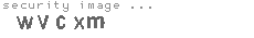 security image