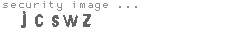 security image