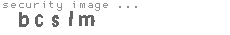 security image