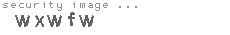 security image