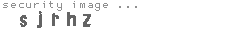 security image