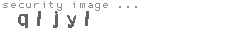 security image