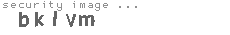 security image