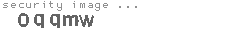 security image