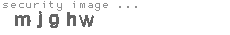 security image