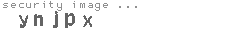 security image