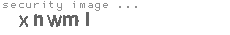 security image