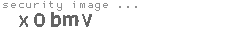security image