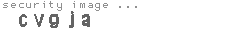 security image