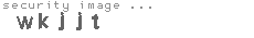 security image