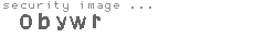 security image