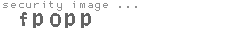 security image