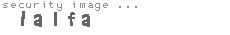 security image