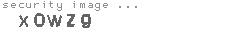 security image
