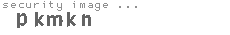 security image
