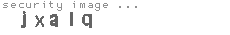 security image