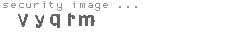 security image