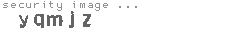 security image