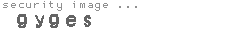 security image