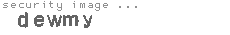security image