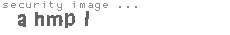 security image