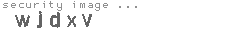 security image