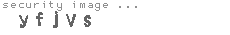 security image