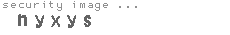 security image