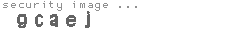 security image