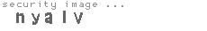 security image