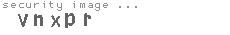 security image
