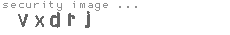 security image