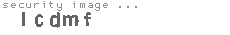 security image
