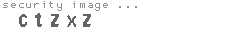 security image