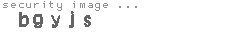security image