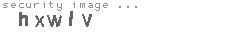 security image