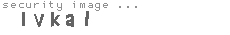 security image