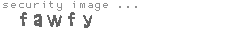 security image