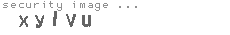 security image