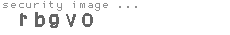 security image