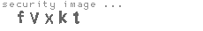 security image