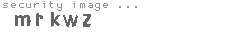 security image