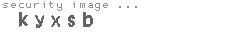 security image