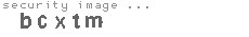security image